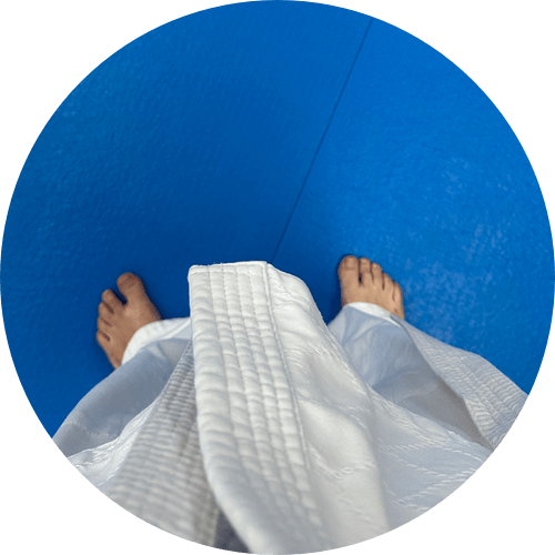 Auteur du site restartjudo